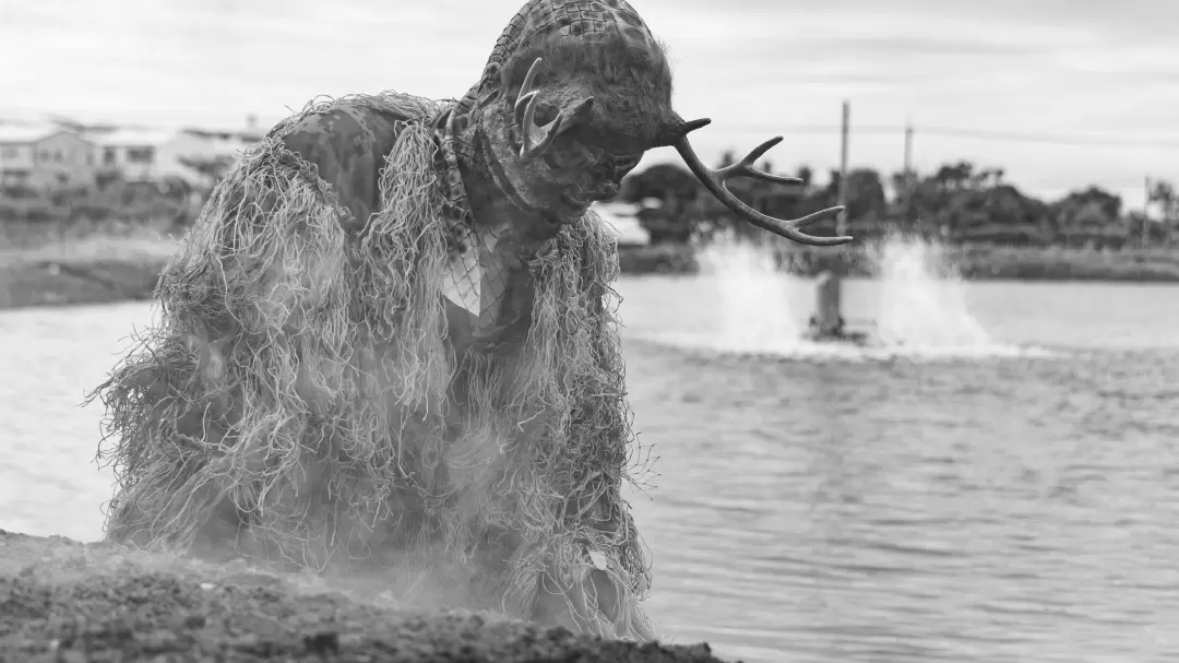 從魚塭浮出-圖片